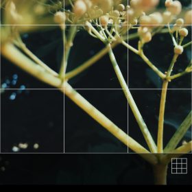 Cropping an image with an app